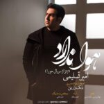 دانلود آهنگ امیر تسلیمی هوا ندارد